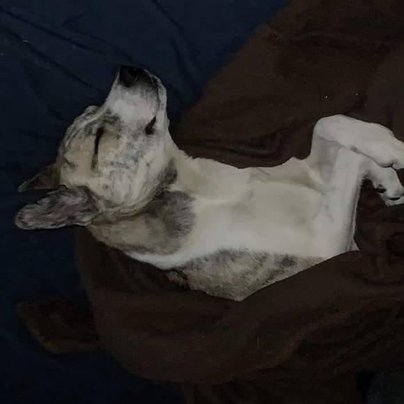 Meet your Posher, Meredith - Picture 1 of 1